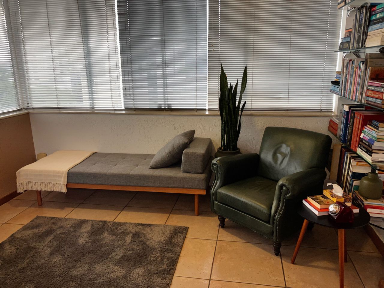 Vanessa Mendonça Santos-1