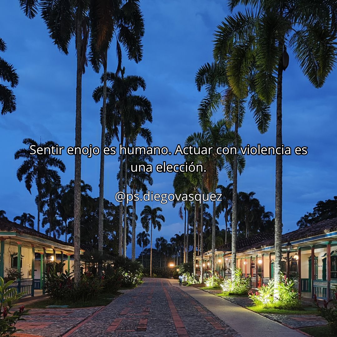 Diego Fernando Vasquez Espinosa-29