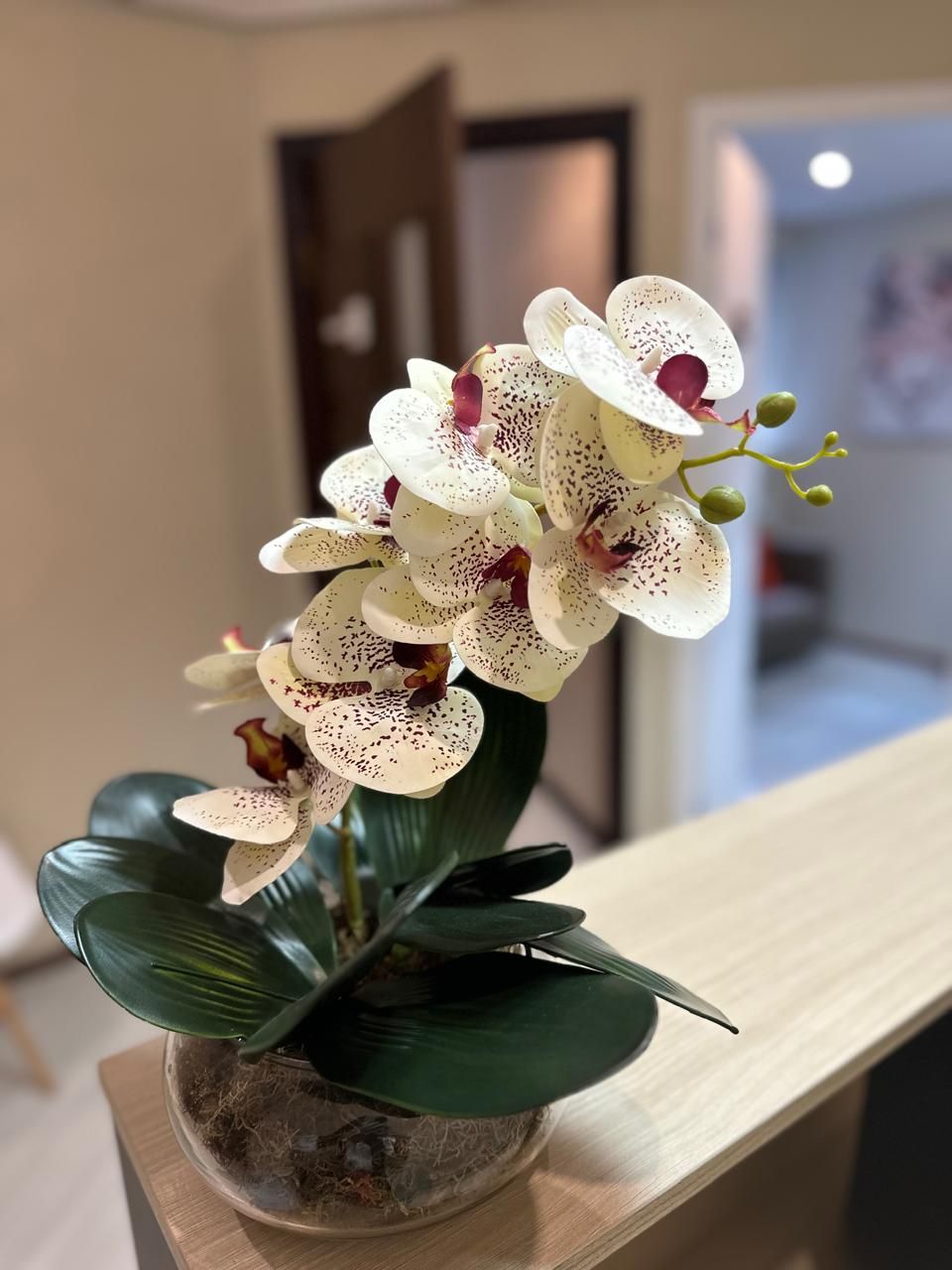 Patricia Alvarenga Ranieri-3