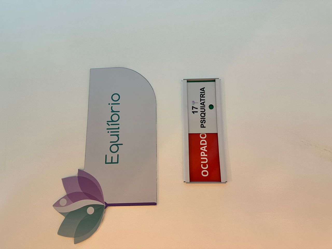 Patricia Gurgel Luz-4