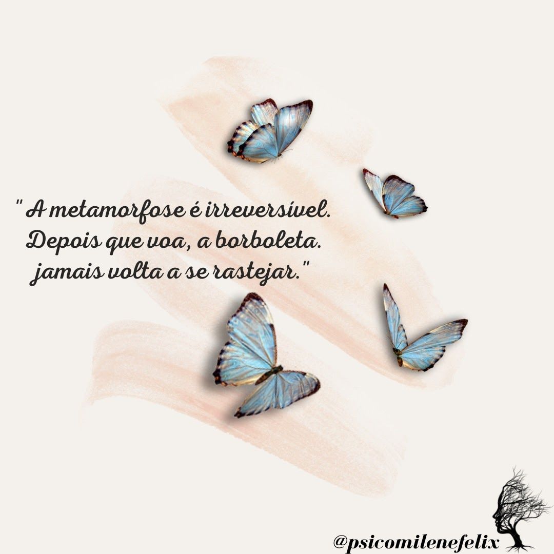 Milene Felix Alexandre-5