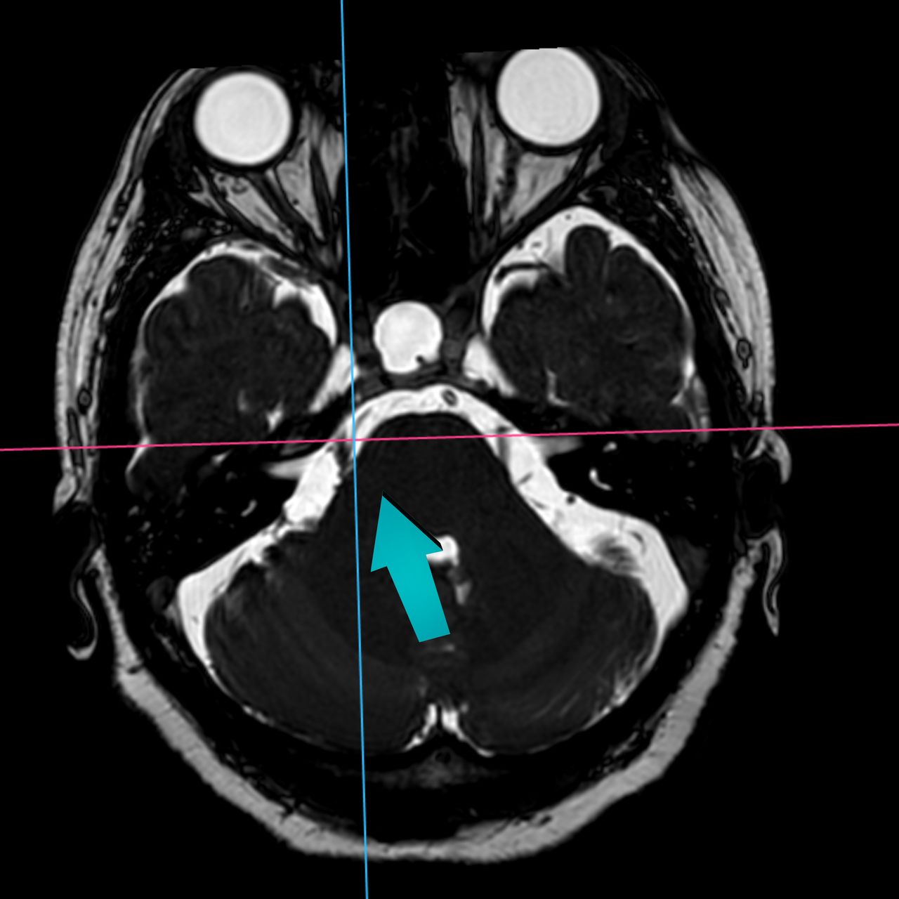 David Tafur Muñoz-1861