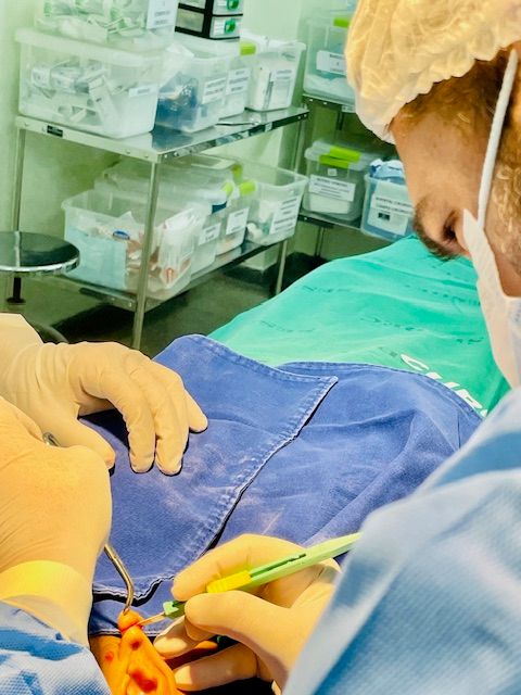 Leandro Fernandes Kotait-5