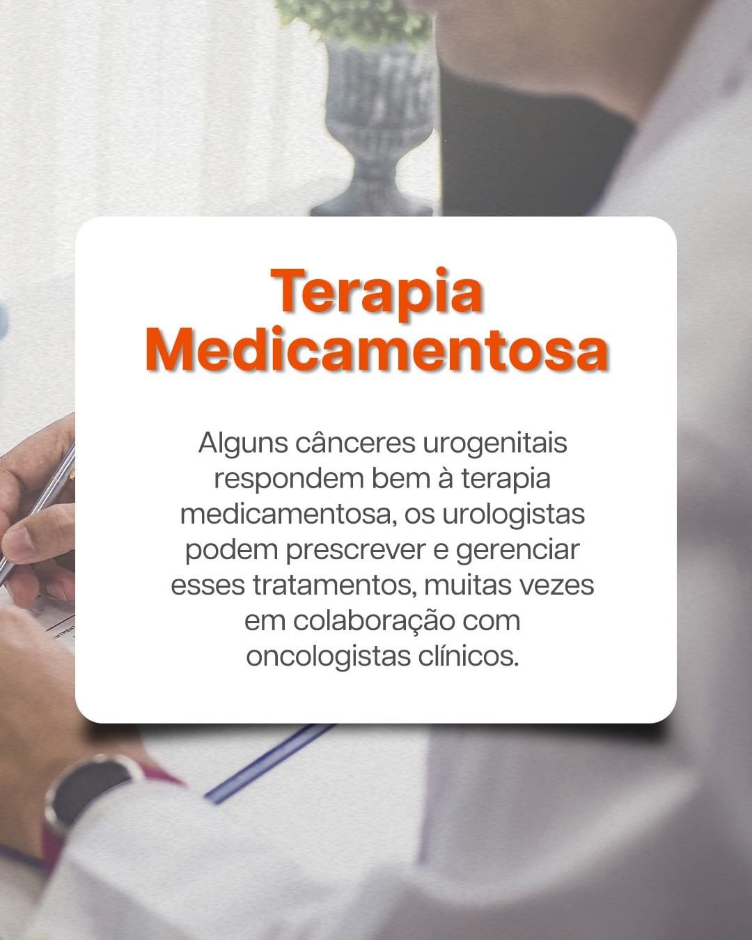 André Lazzarin Marani-3