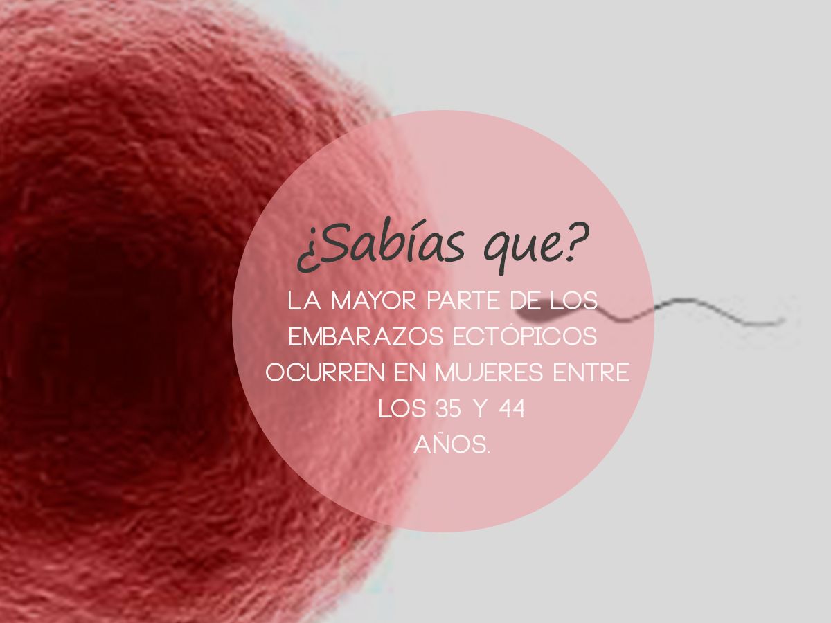 Rina Cuadros Salas-5