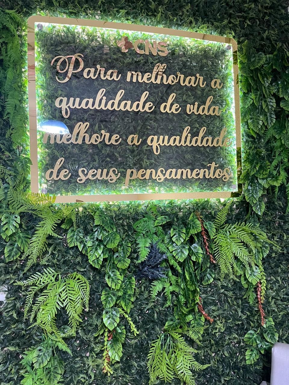 Liliane  De Fátima Pereira .-4
