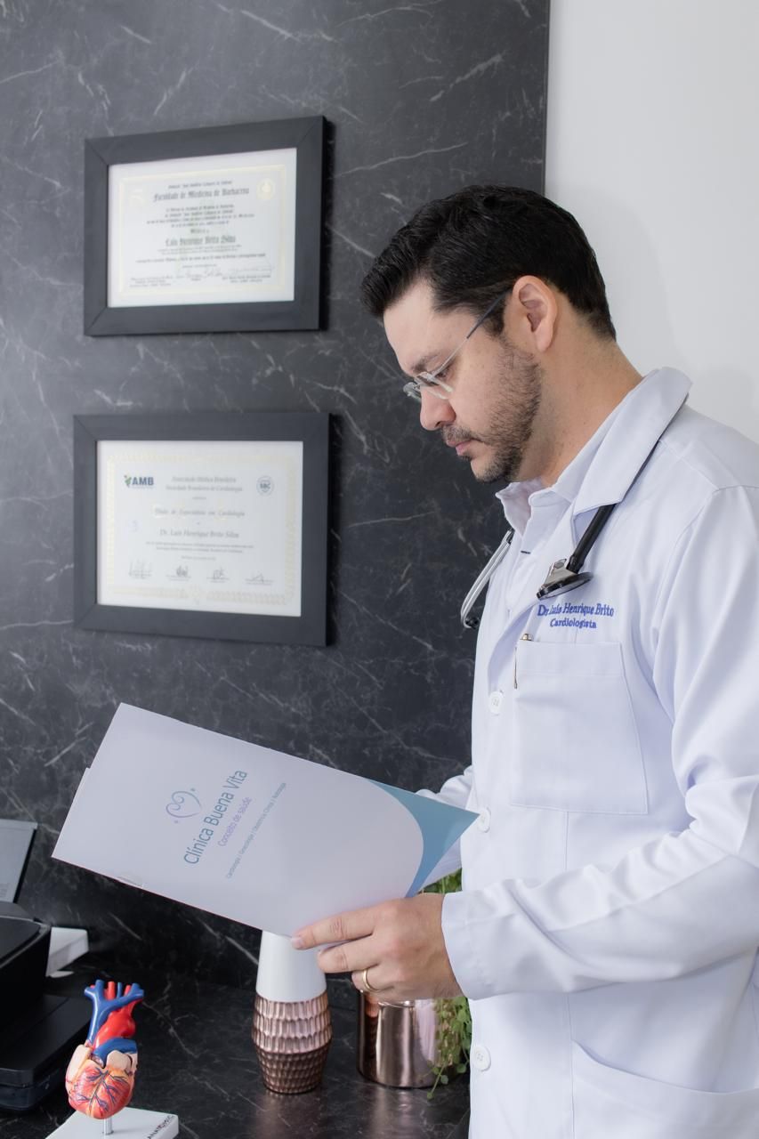 Luis Henrique Brito Silva-0