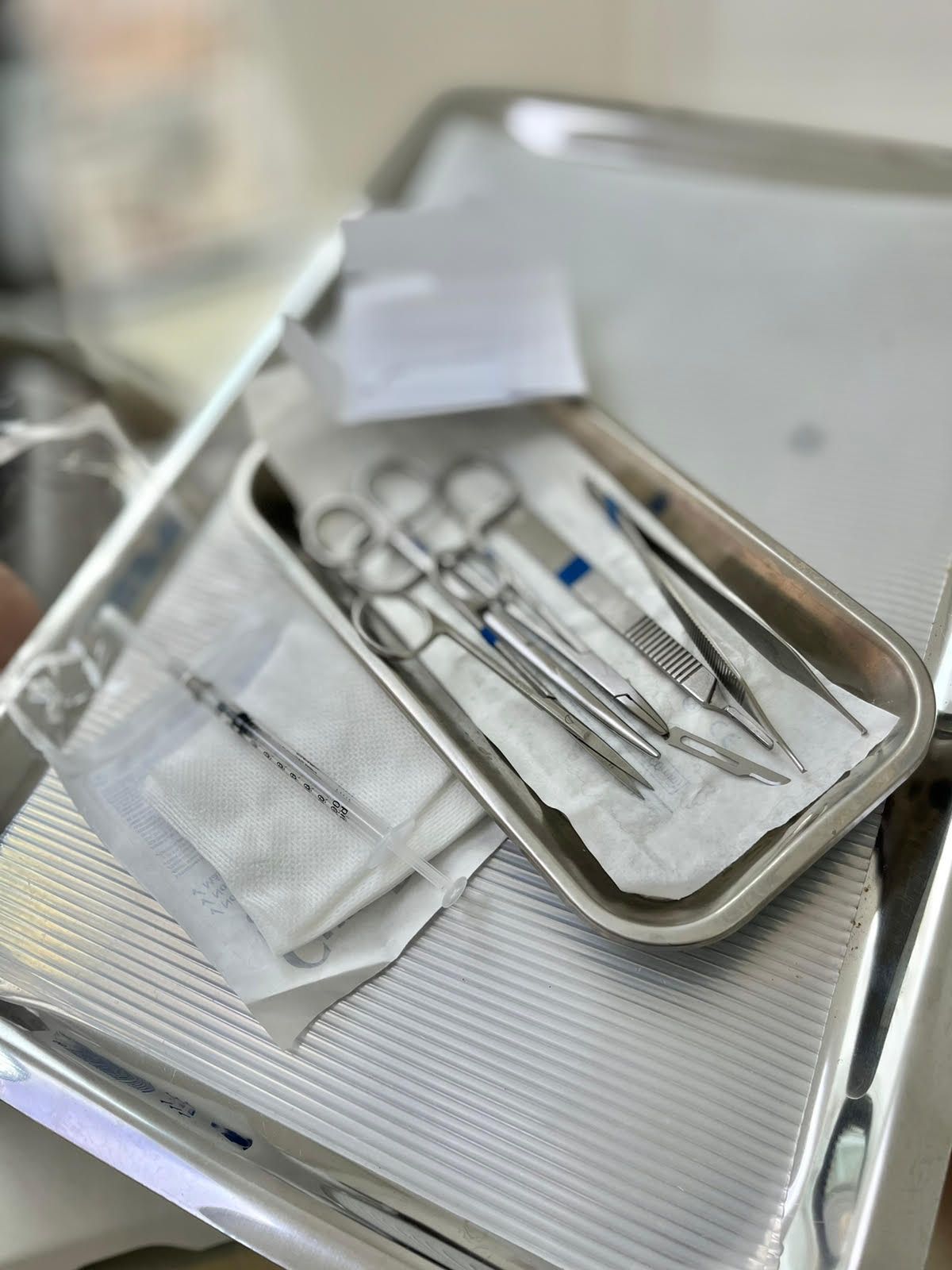 Ana C. Martinez Ibarra-14