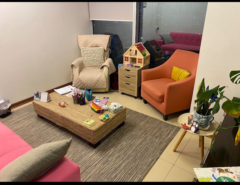 Paula Reyes Figueroa-1