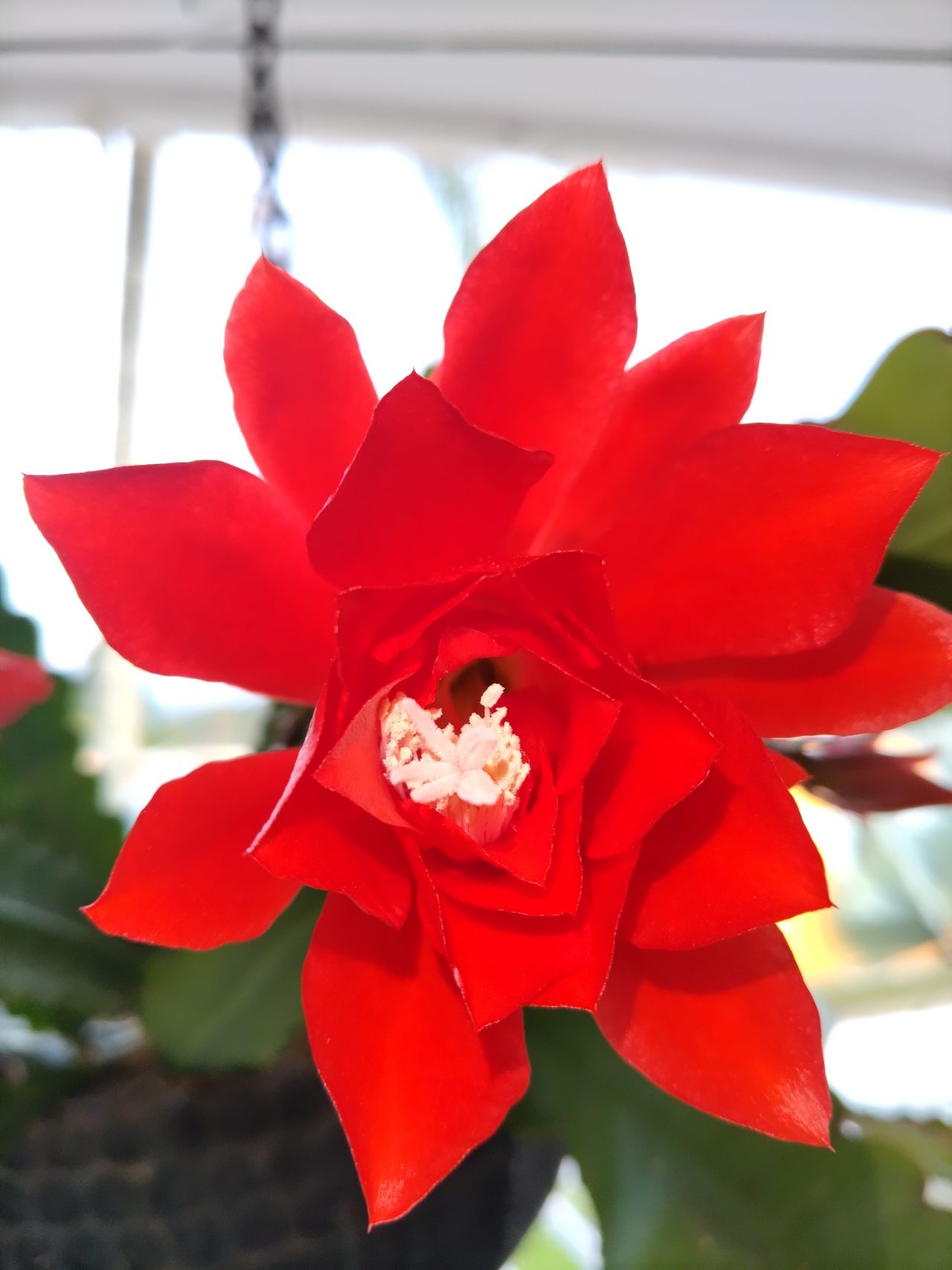 Robinson Largo Suarez-3