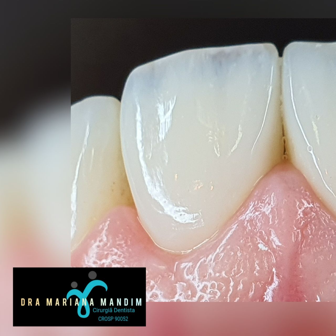 Mariana Mandim Ribeiro Marques-2