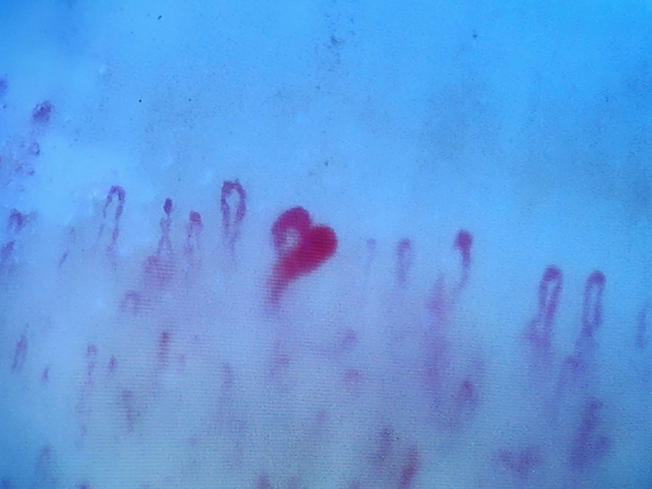 Eybar Alfonso Diaz Ibarra-3