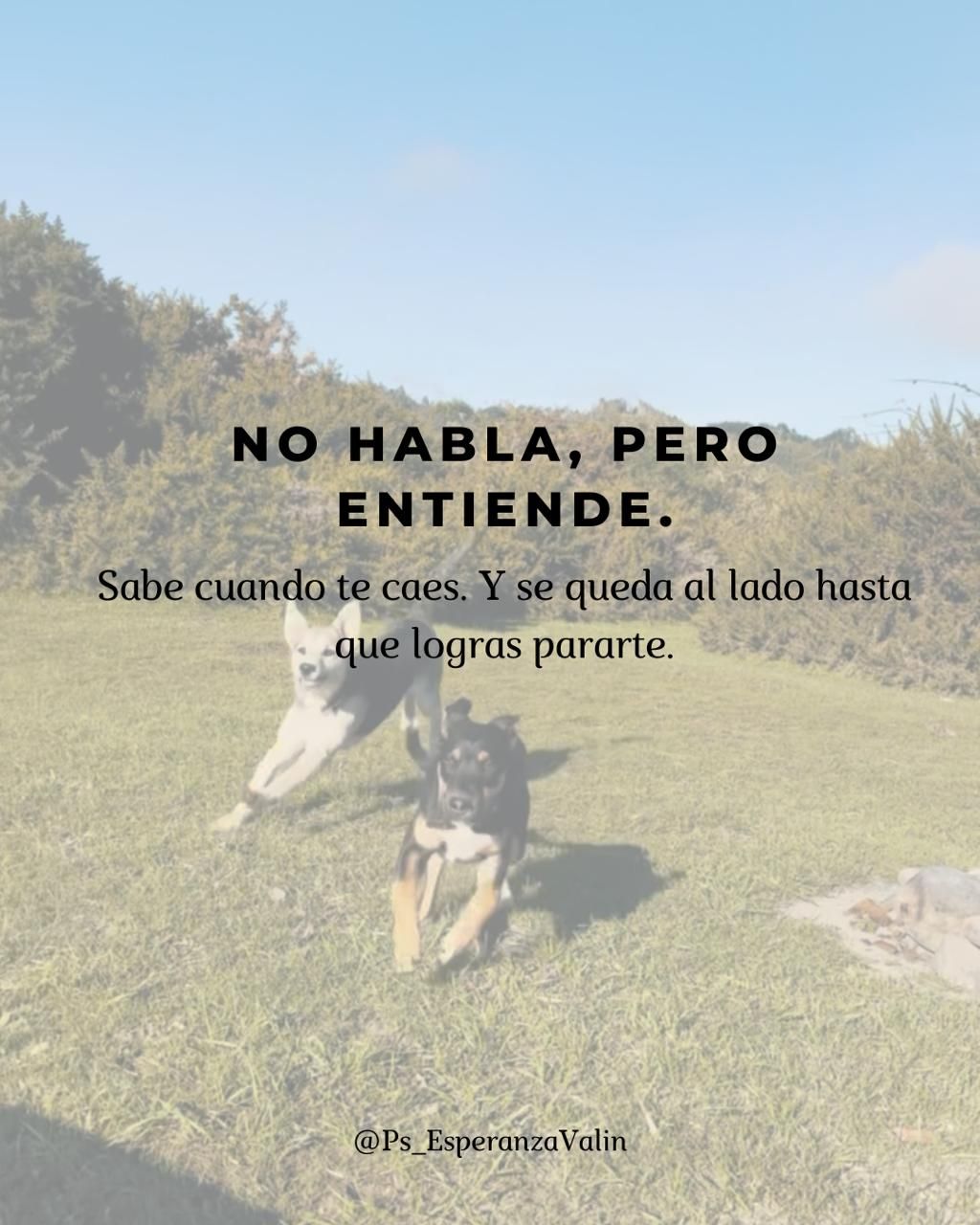 Esperanza Lagos Valin-9