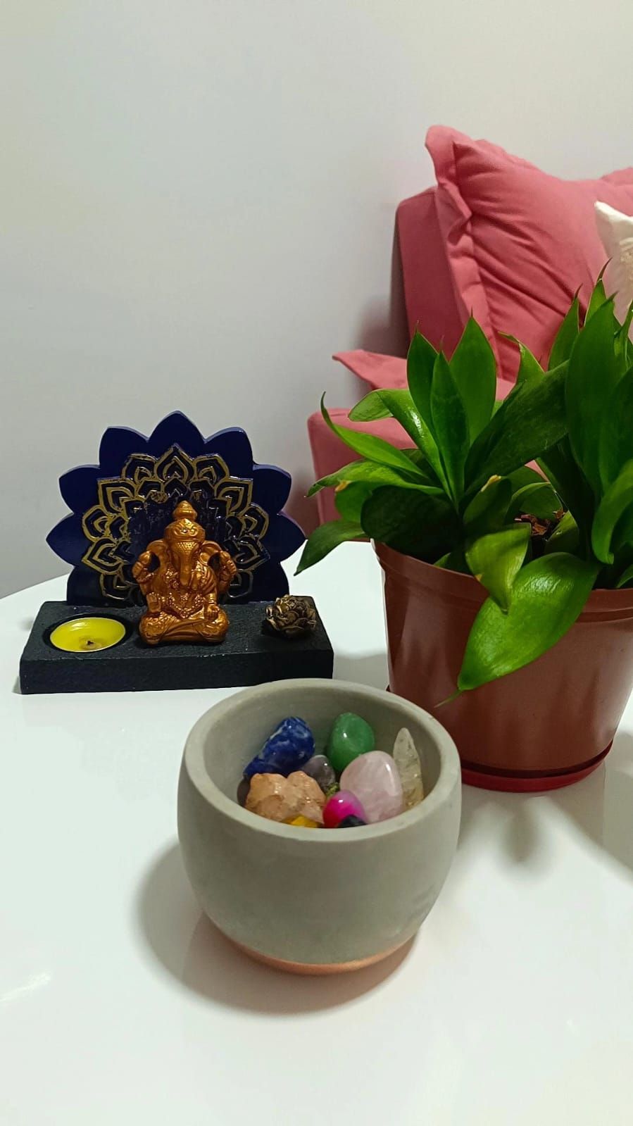 Priscila Yamashita Silva-7