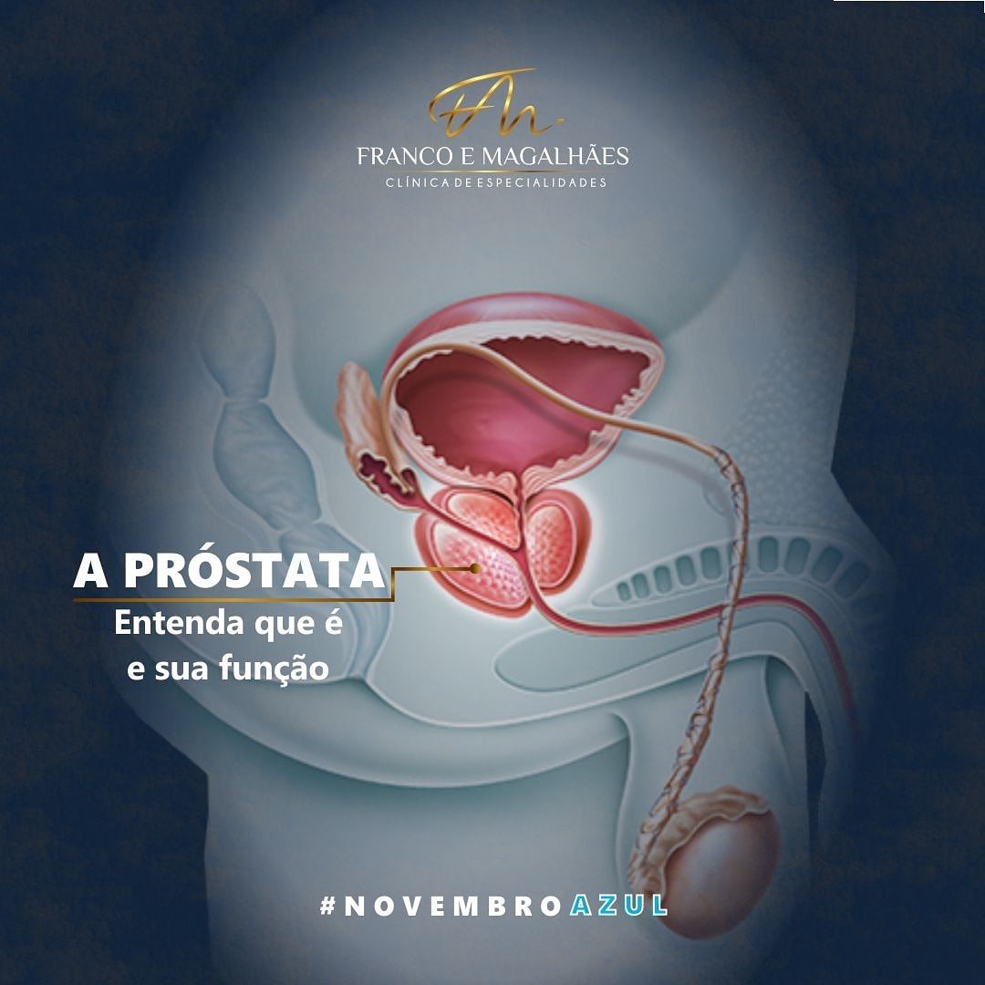 Hamilton Franco Filho-31