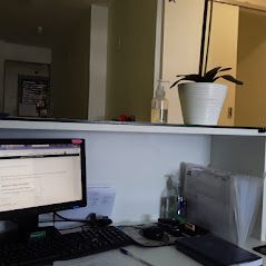 Camille Junqueira Leite-6