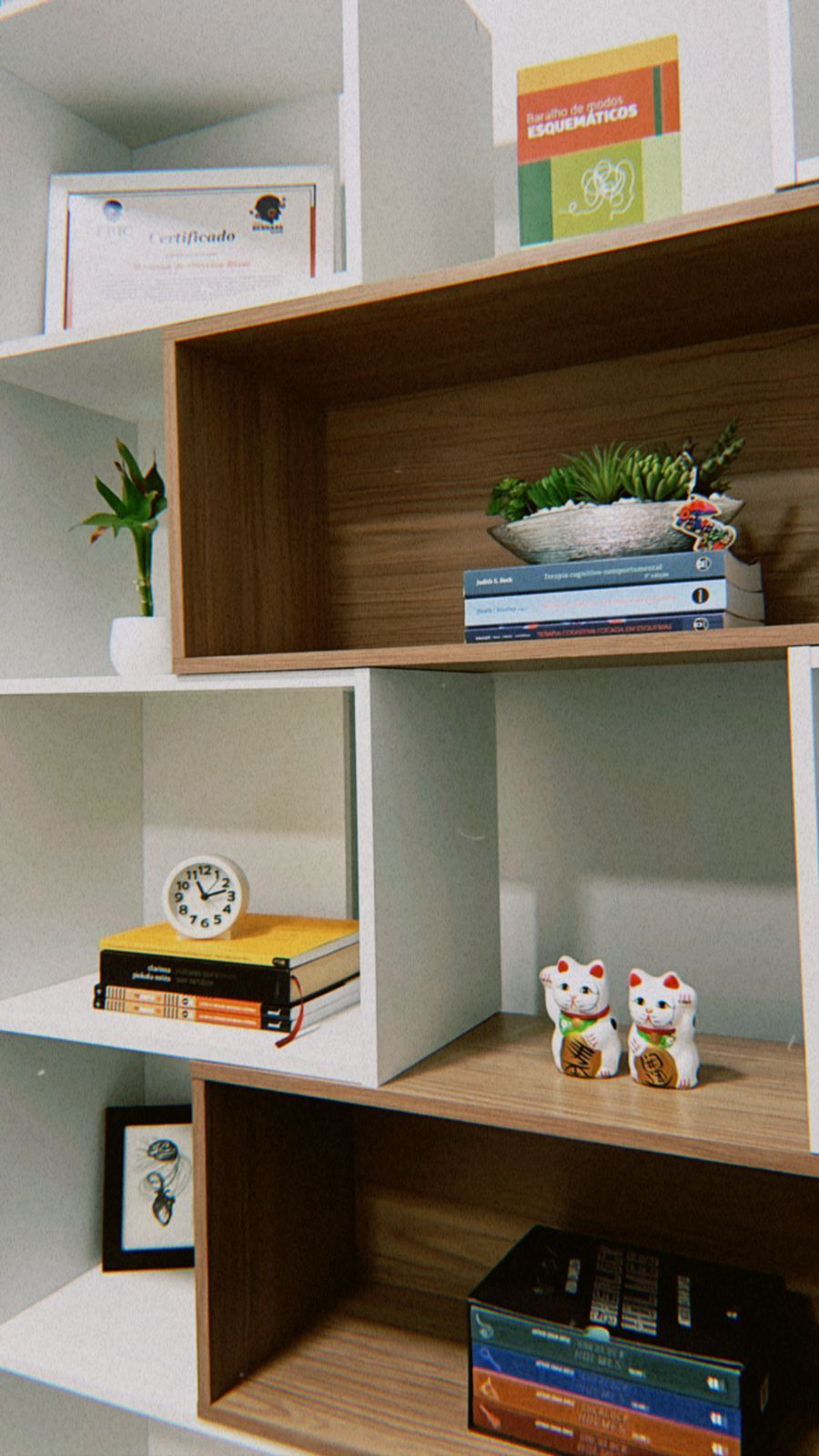 Luiza Christofoletti Vito-2