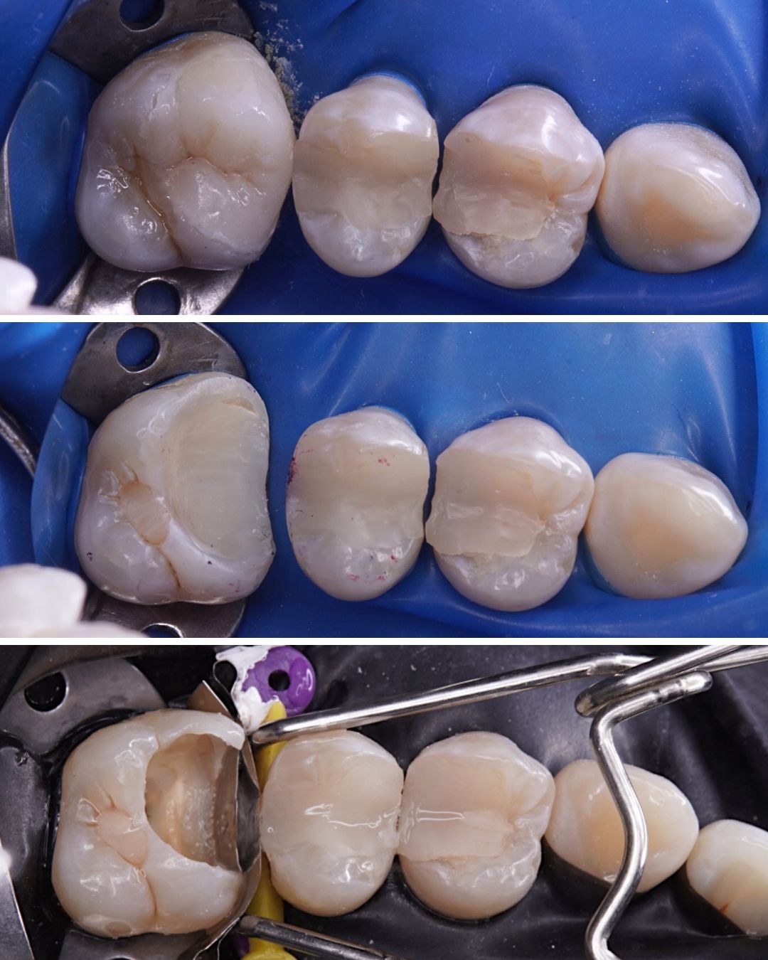 Paula Andrea  Bahamondes Duran -11