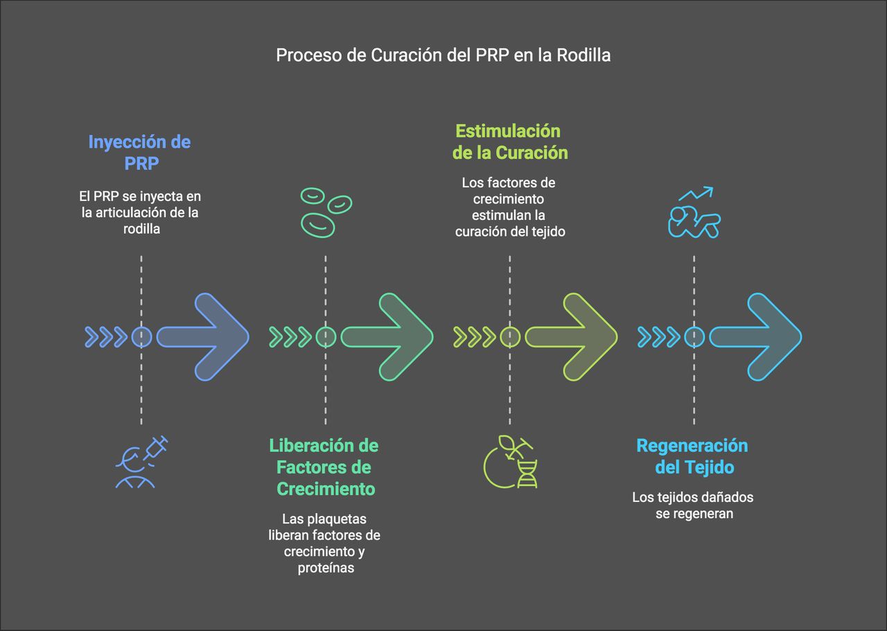 Edgar A. Pulido J.-6