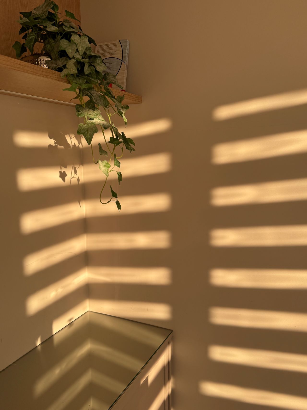 Karine Ranzi Valentim De Souza-1