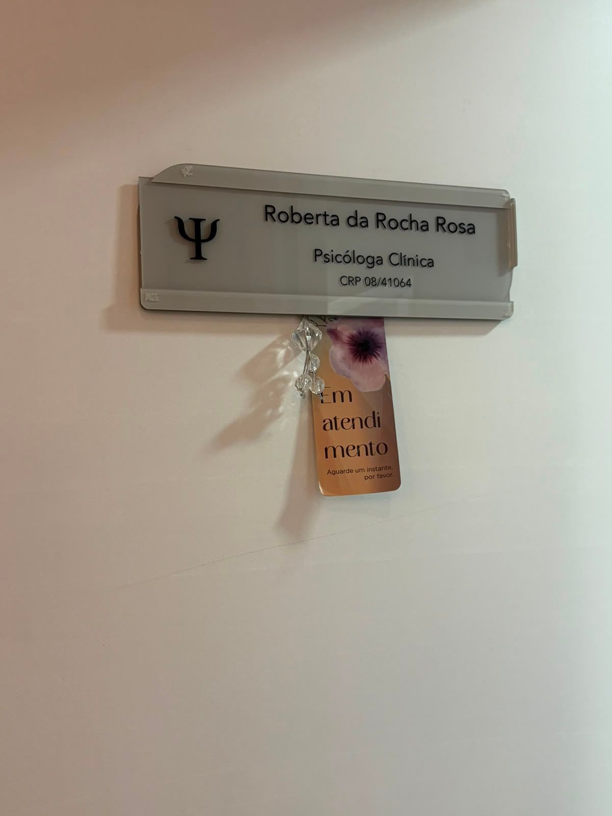 Roberta Da Rocha Rosa-4