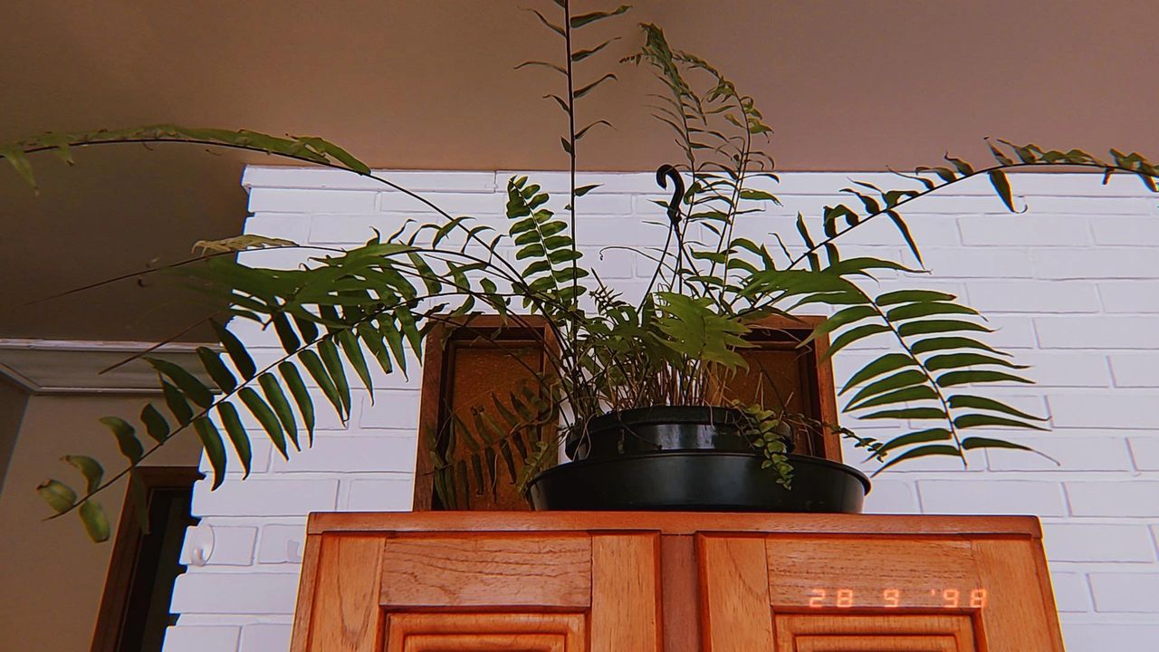 Hélène Sperandio-4