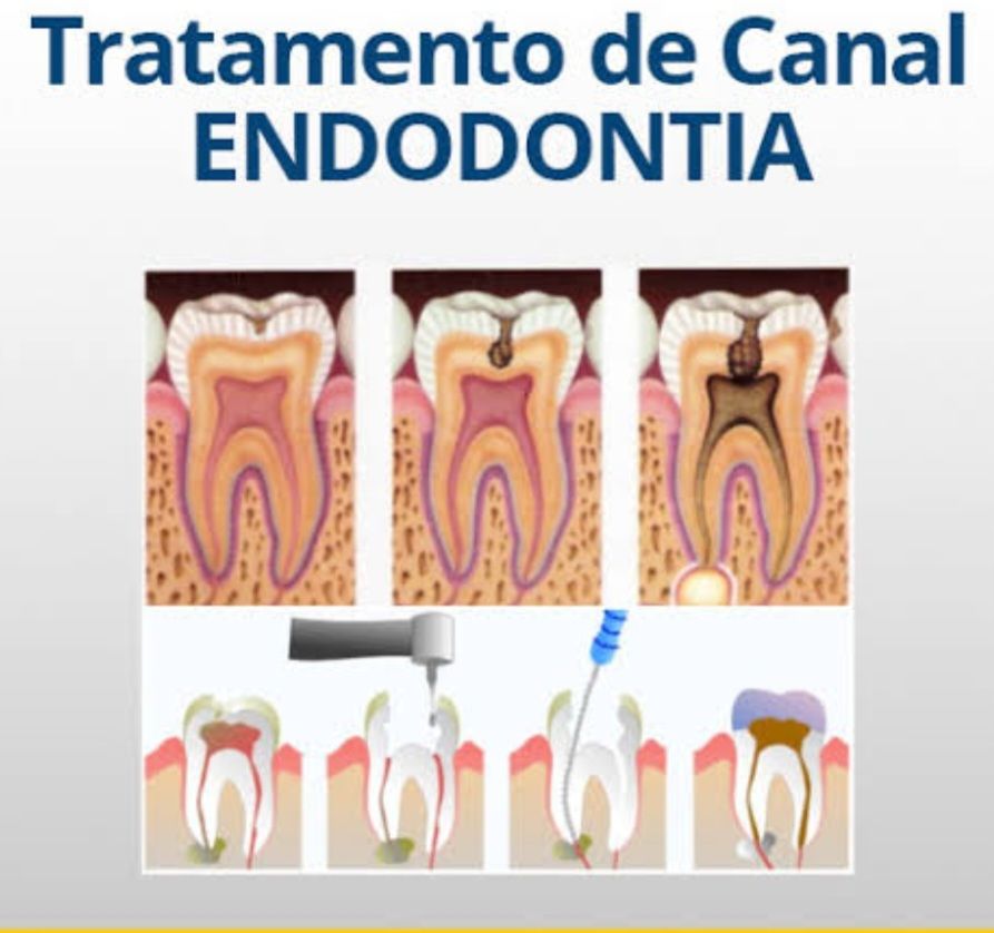 Maria Isabel Freitas Pinheiro-7