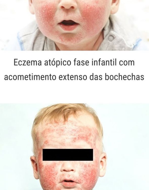 Daniela Gontijo Andrade Junqueira-0