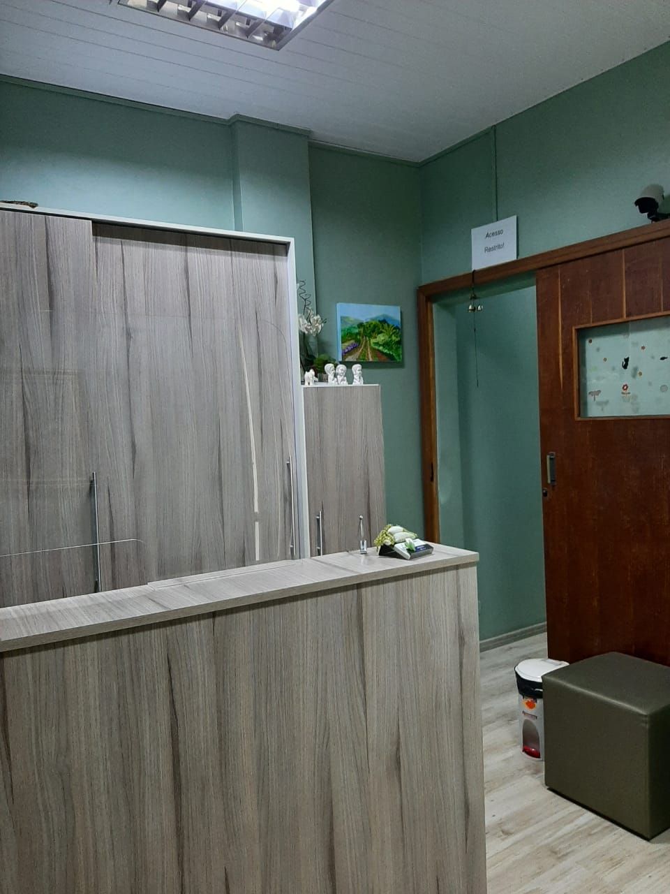 Tânia Maria Pereira De Avila Silva-3