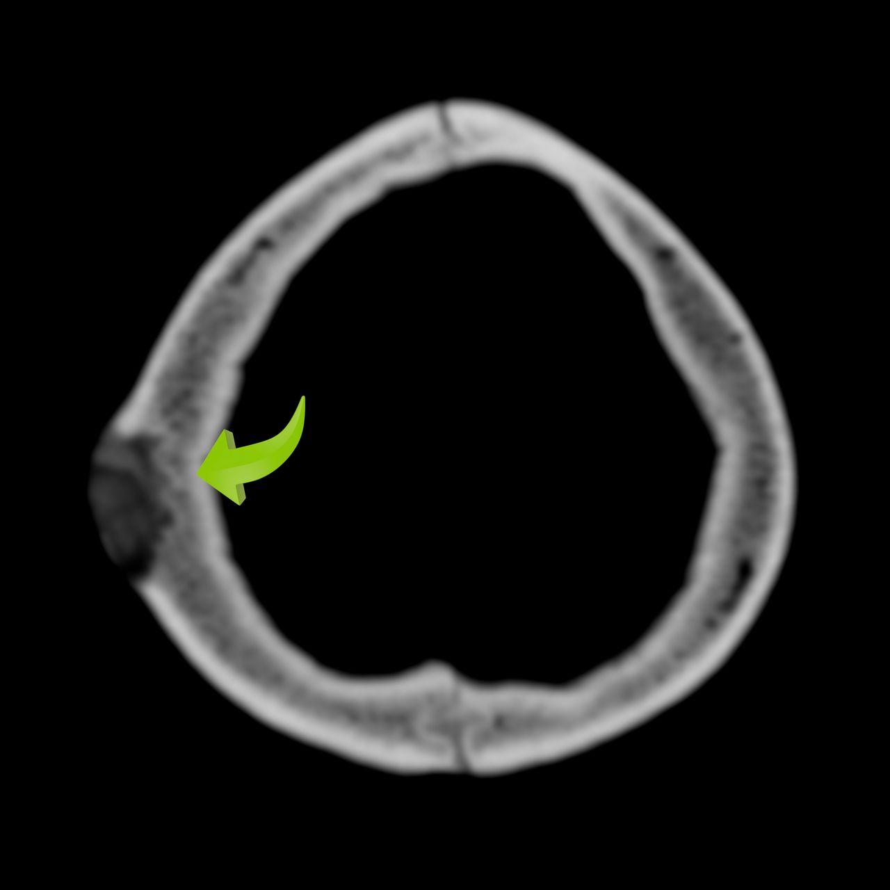 David Tafur Muñoz-1092