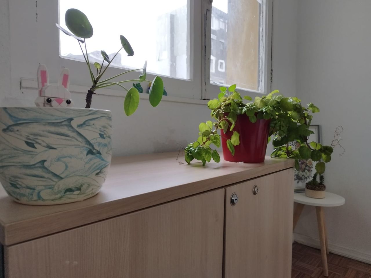 Bárbara Umaña Torres-3