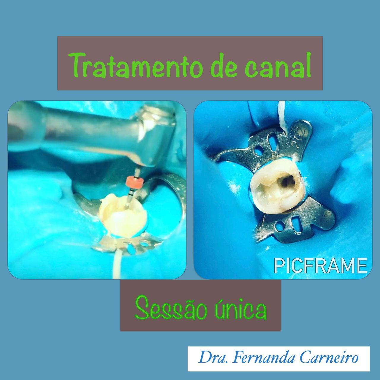 Fernanda Carneiro Pinto-28