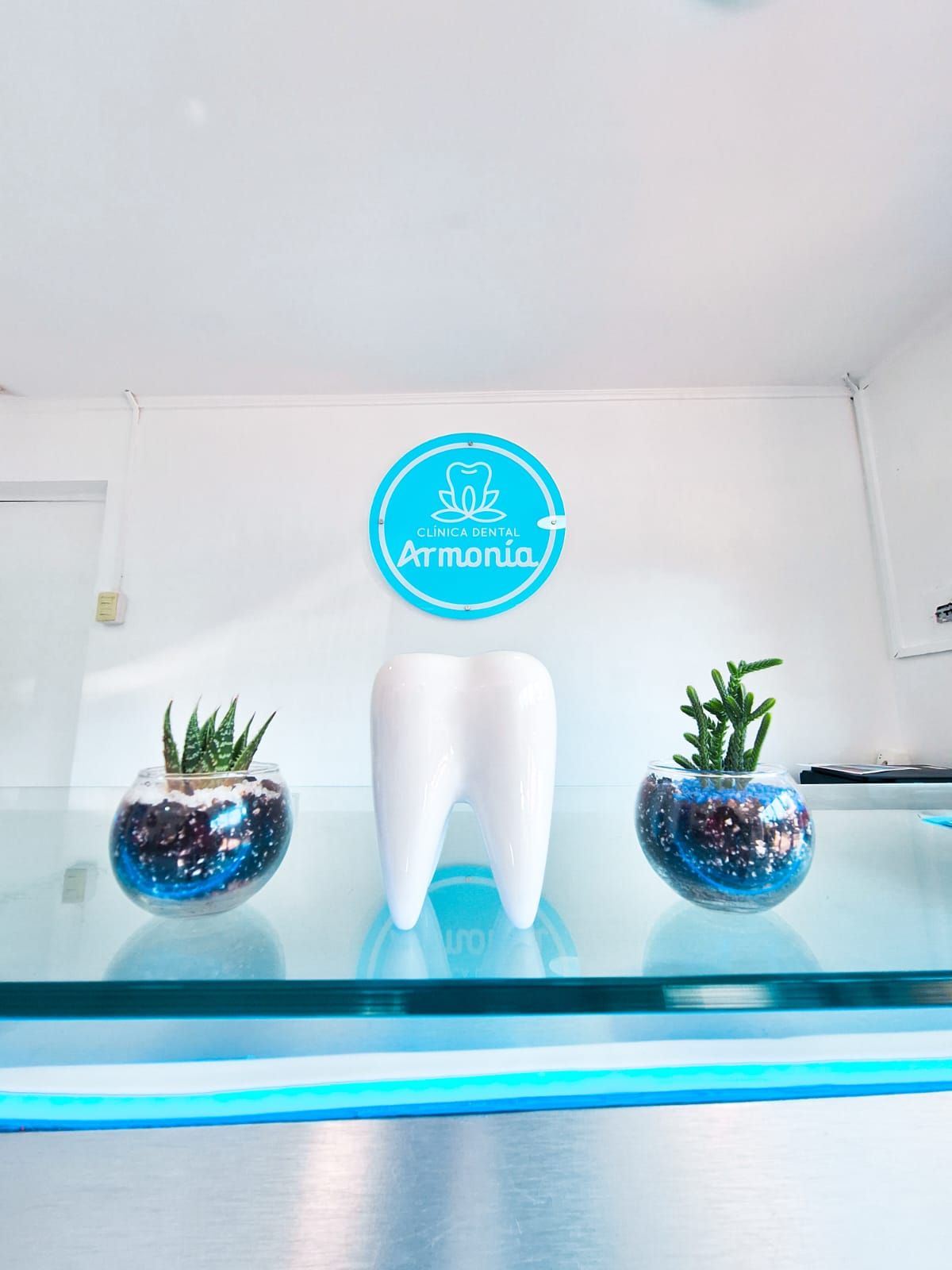 Pía Oróstica Vergara-3