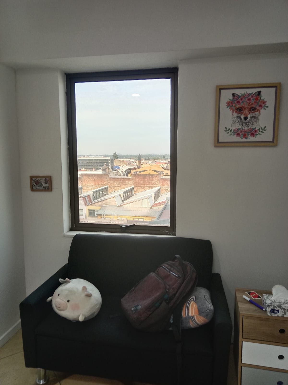 Nelly  Tiznado Solis-0