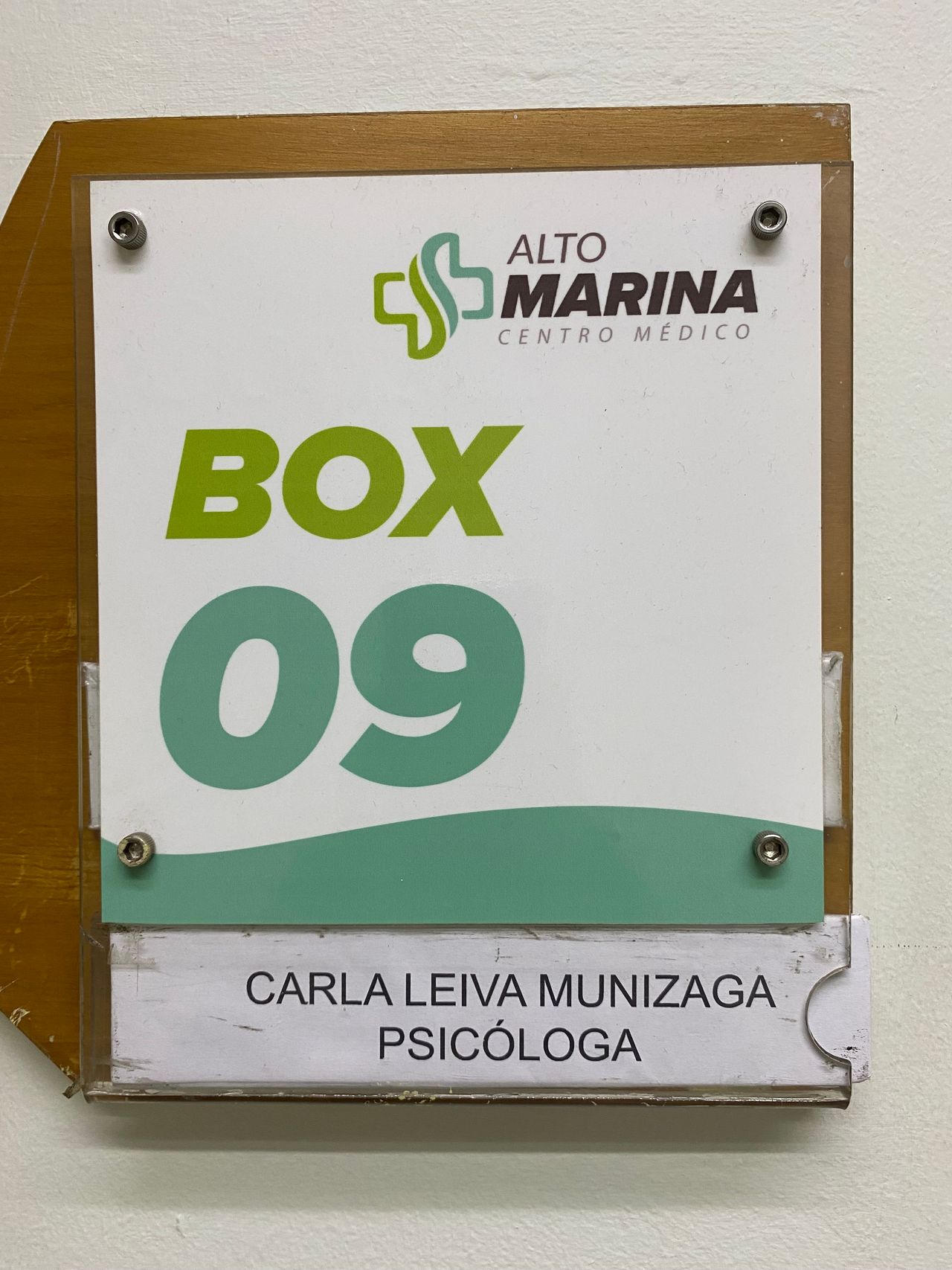 Carla Grecia Leiva Munizaga-0