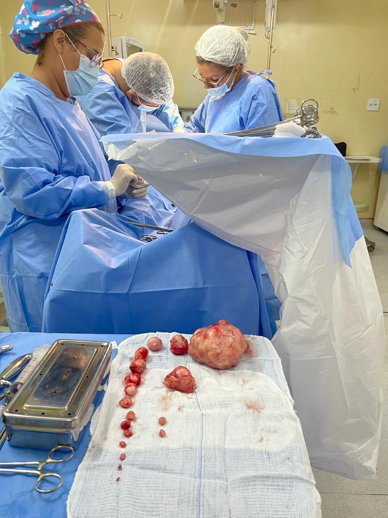 Roberta  Lima Santos De Souza-9