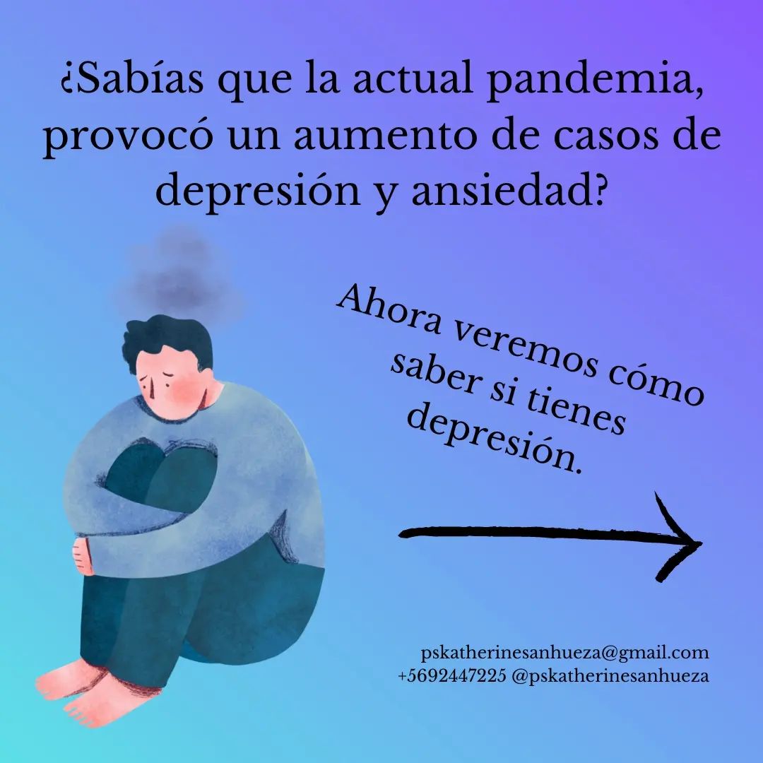 Katherine Sanhueza Arancibia-4