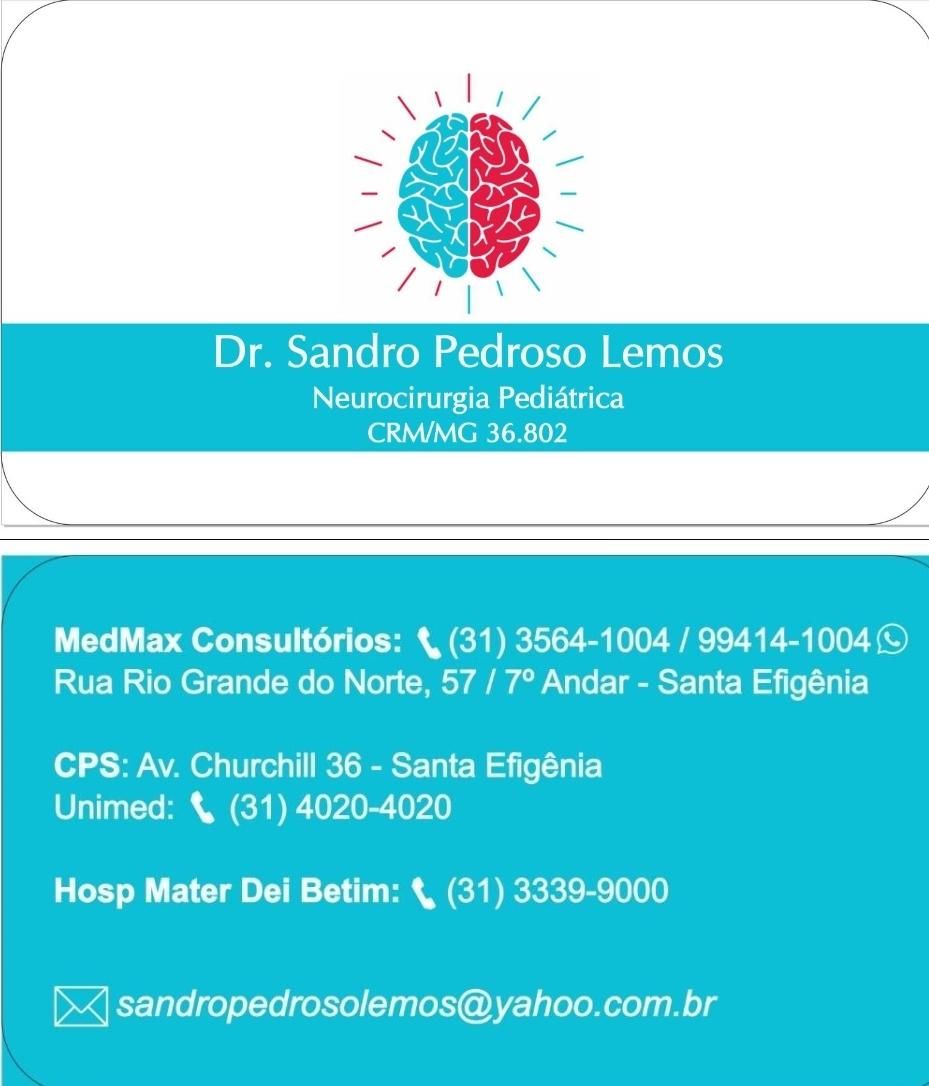 Sandro Pedroso Lemos-1