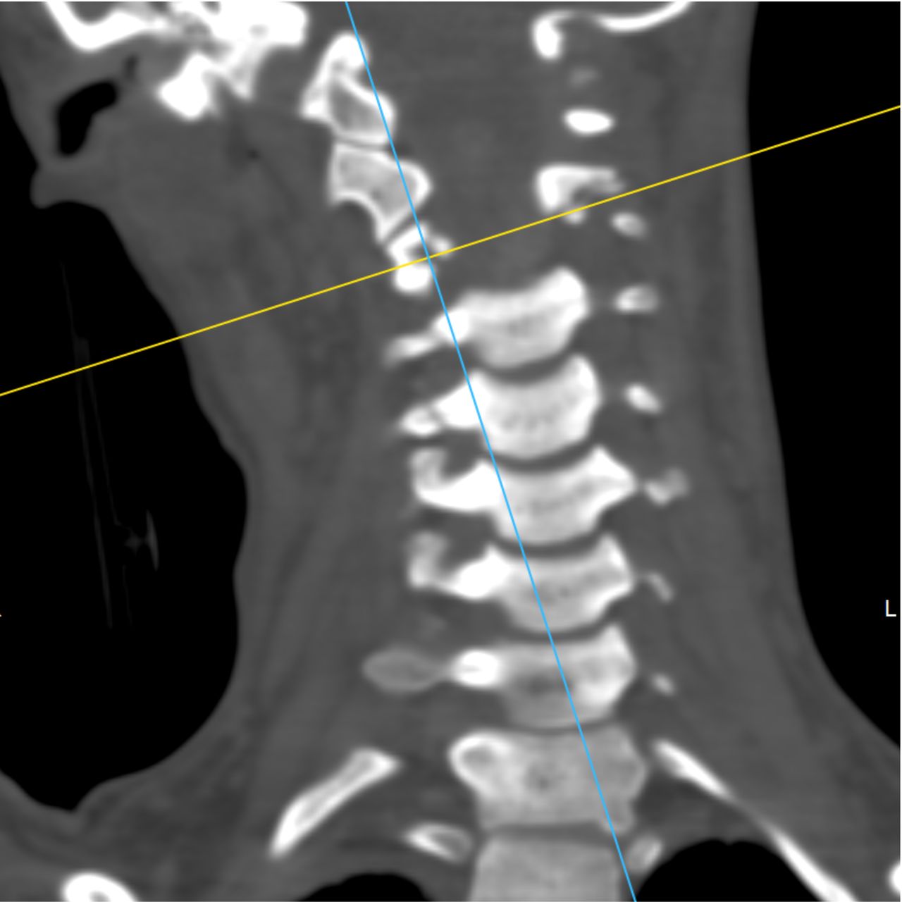 David Tafur Muñoz-2102