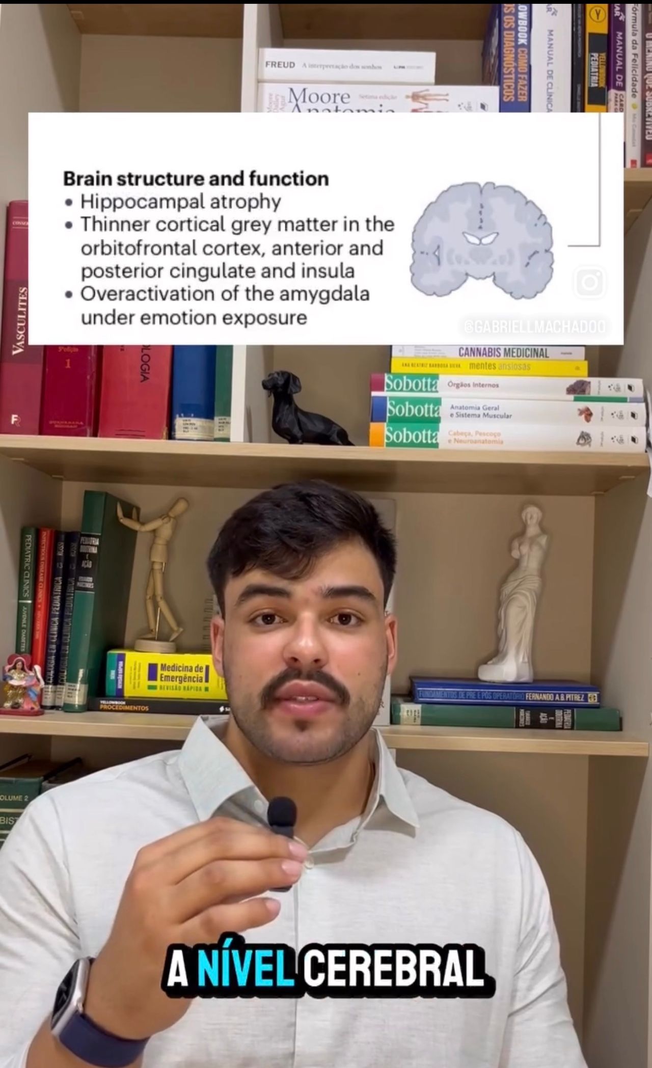 Gabriel  De Lima Machado Da Fonseca -0