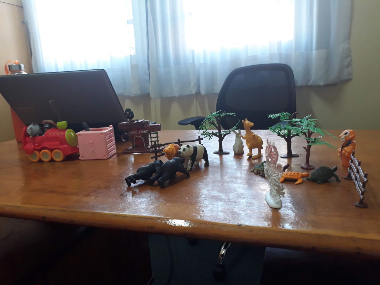 Marjorie Huerta Castro-4