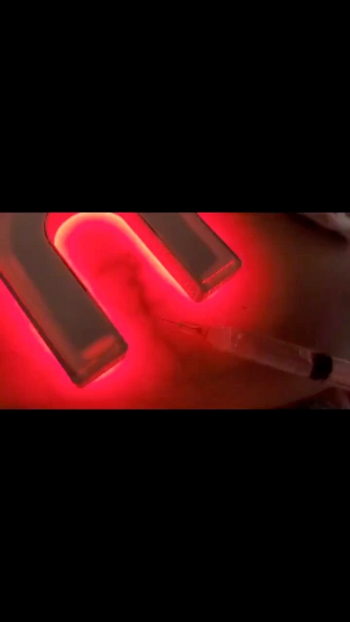 Rafaela Castricini-10