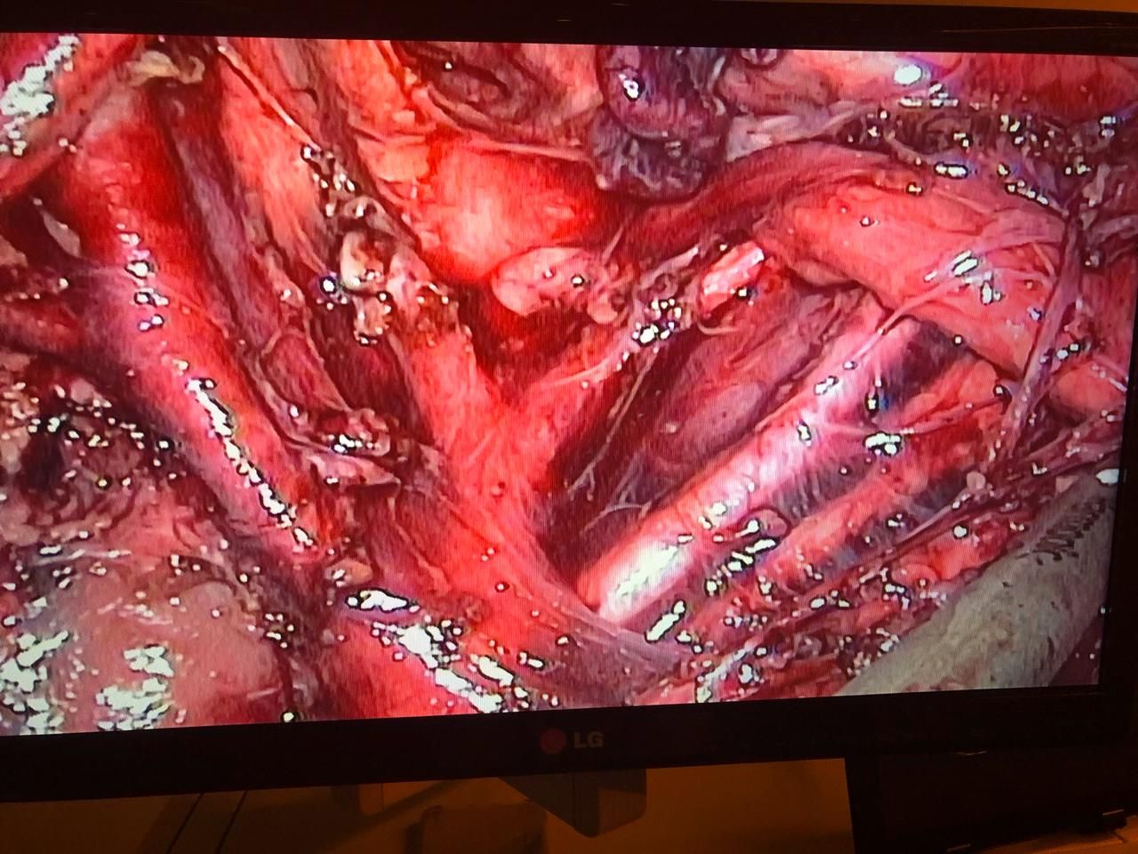 Liane Silva Rafael Rogério-25