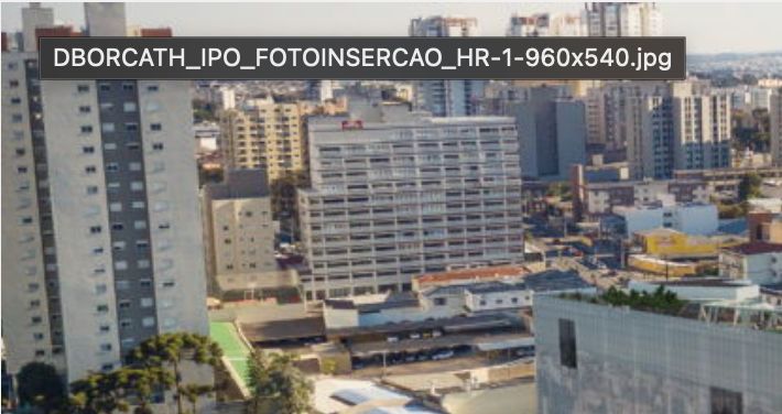 Hugo Akio Hasegawa-15