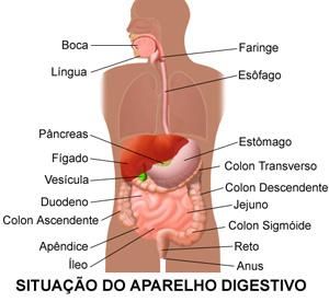 Renato Françoso Filho-1