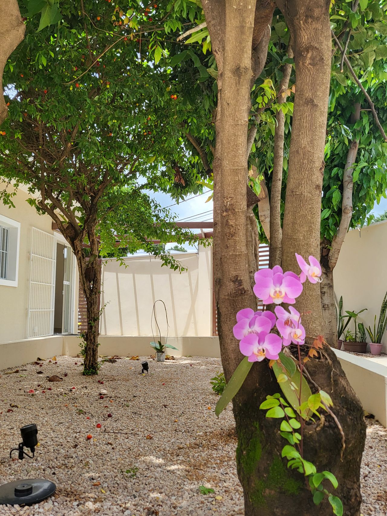 Ítalo Karmann Aventurato-6