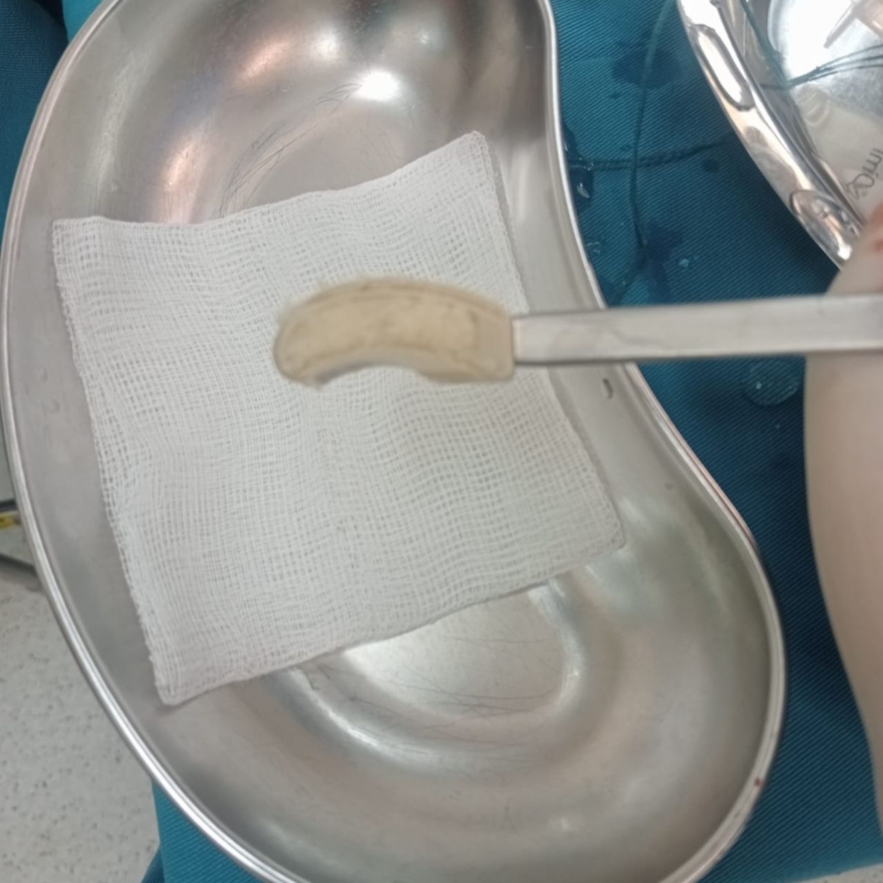 David Tafur Muñoz-1209