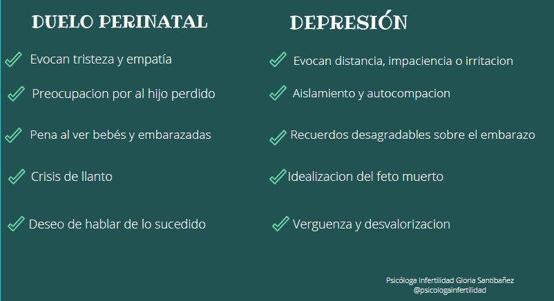 Gloria Santibañez Contreras-19