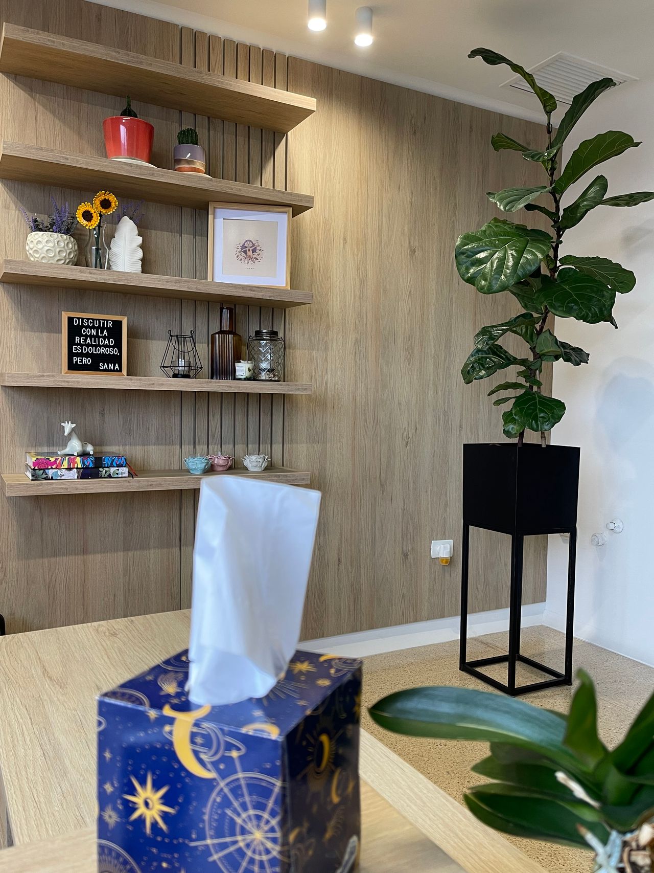 Ricardo Antonio Consuegra Peña-5