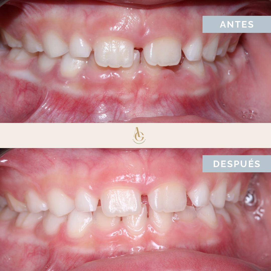 Ángela María Guevara Arredondo-14